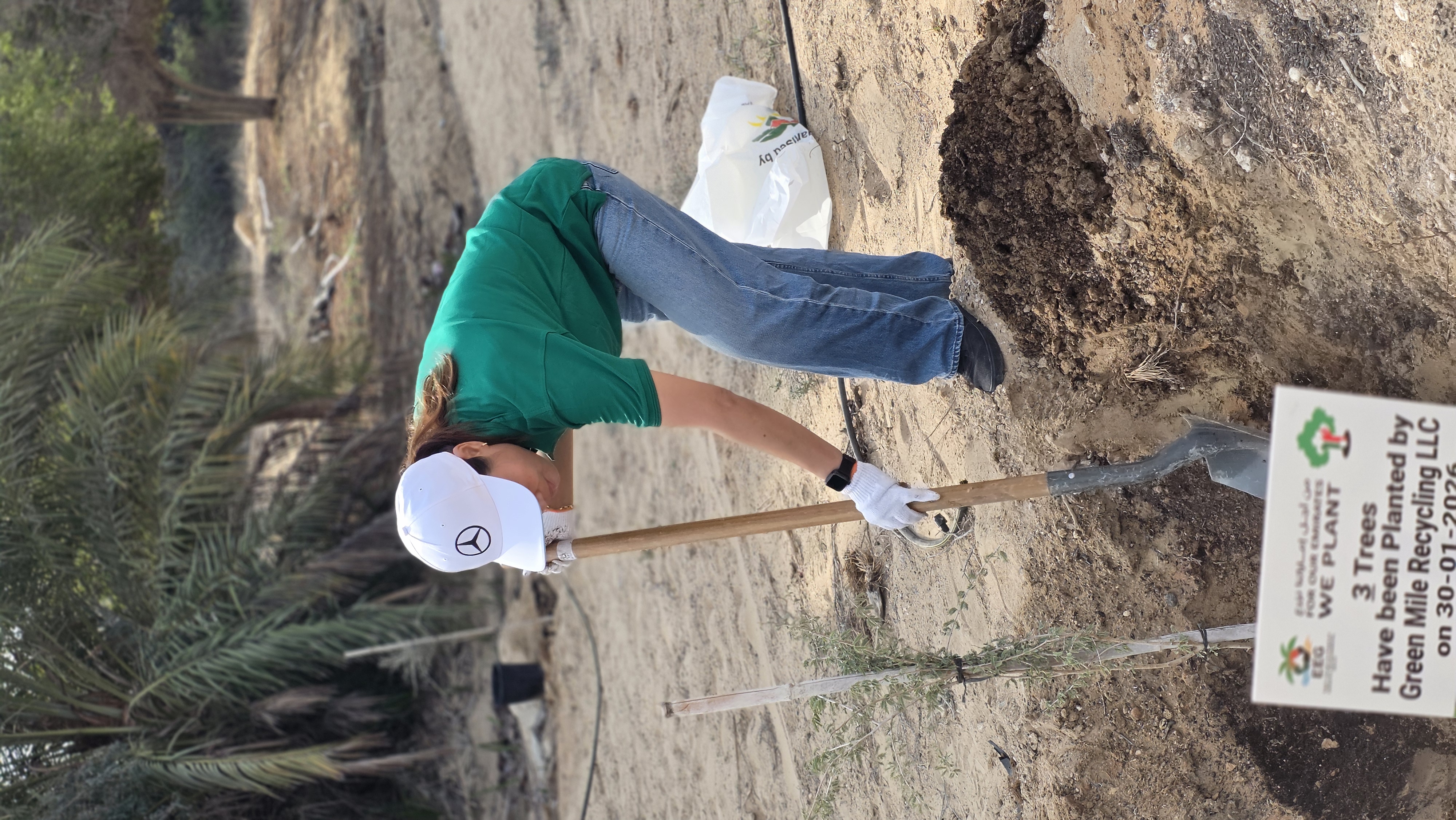 Tree Planting 7